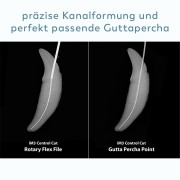 Thumb Galerie