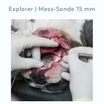 Sonde15mm_Anwendung © Visiovet_iM3