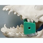 Thumb Galerie