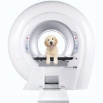 NewTom_5G_XL_VET © Visiovet_Cefla