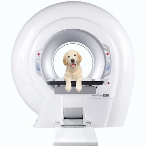 NewTom_5G_XL_VET © Visiovet_Cefla