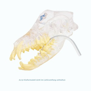 Absaugspitzen_SalivaEjector © Visiovet_iM3